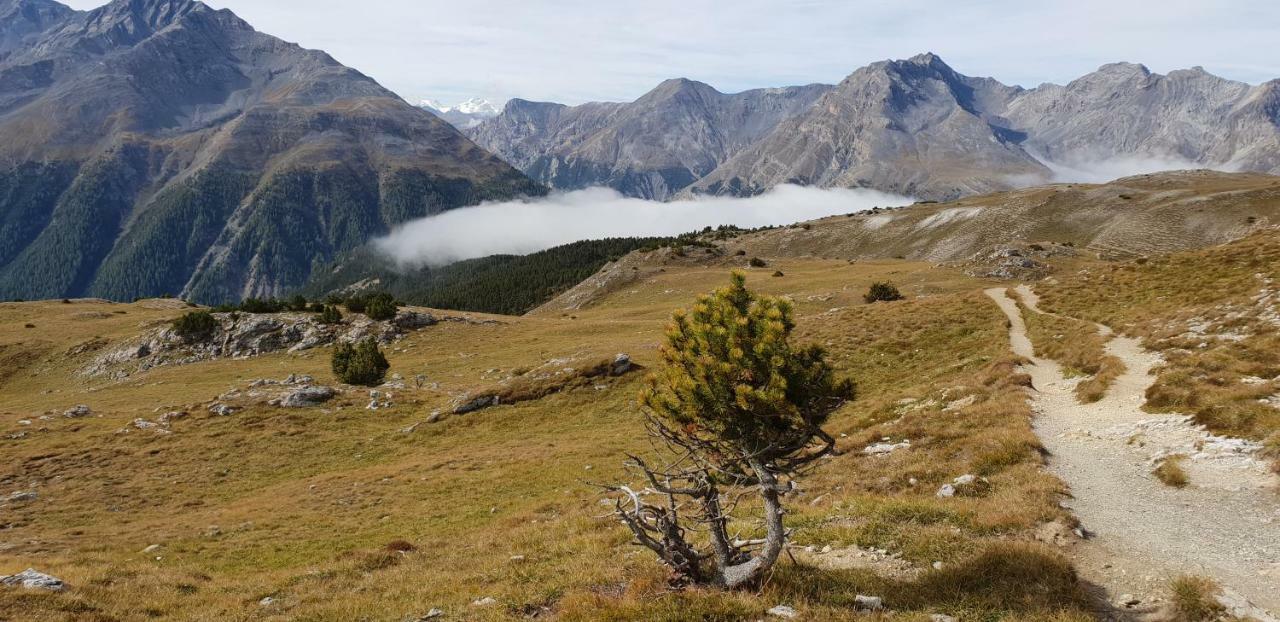 Chasa Melchior Διαμέρισμα Zernez Εξωτερικό φωτογραφία